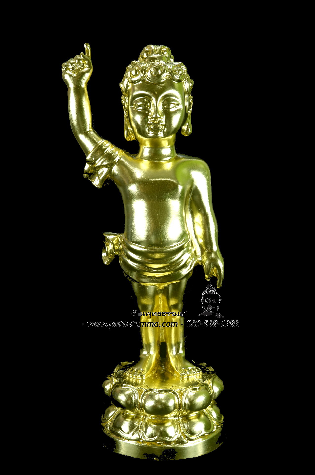 พระพุทธเจ้าน้อย ( ประสูติ) เนื้อโลหะ ปิดทองแท้ทั้งองค์ ขนาด 5 นิ้ว สูง 10 นิ้ว