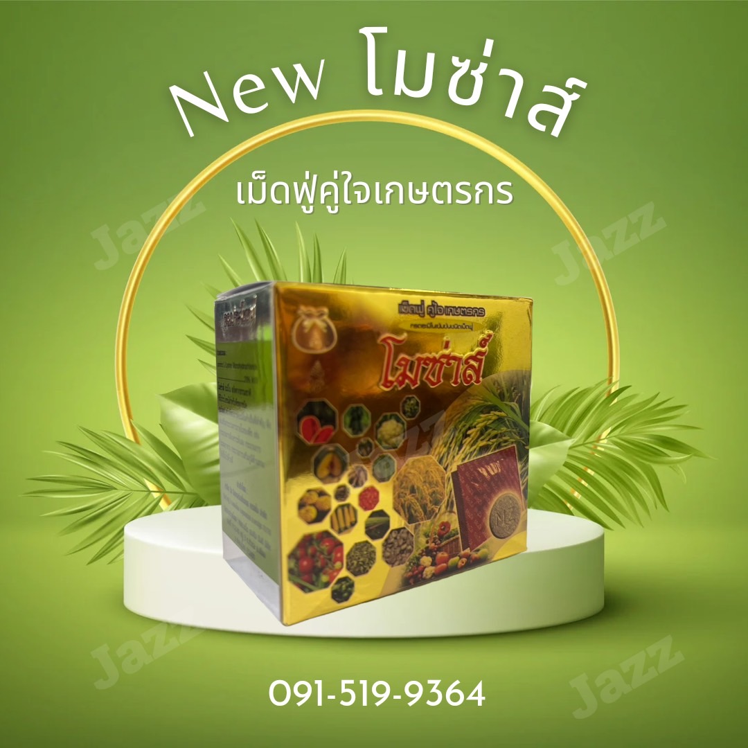 โมซ่าส์ กล่องใหม่ ปี 2566