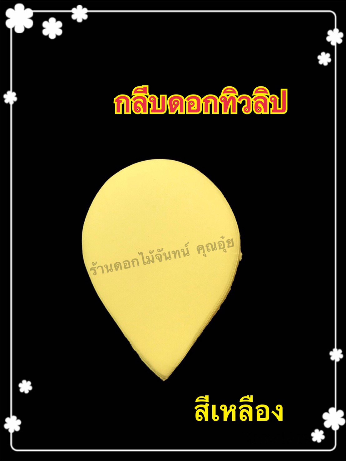 กลีบดอกทิวลิป สีเหลือง