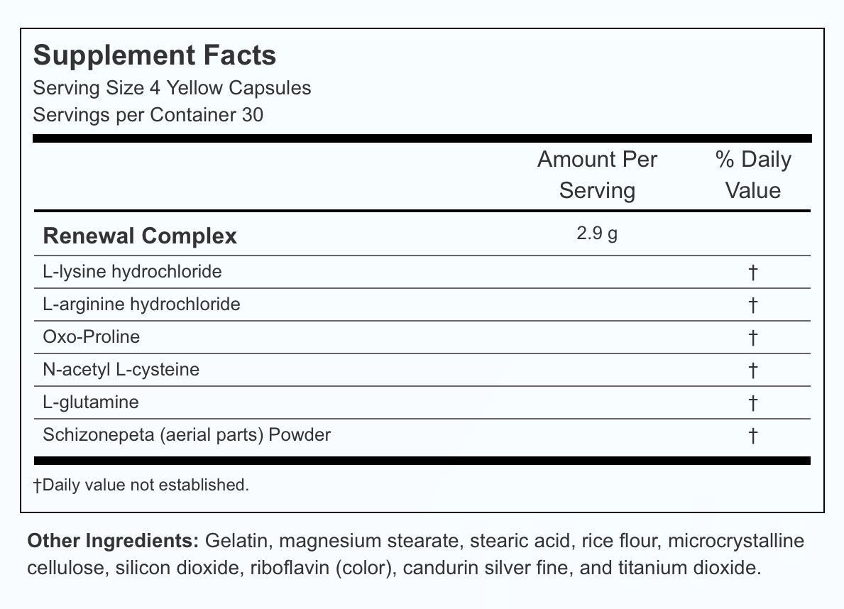 SeroVital Advanced for Women - Anti Aging Supplements - Renewal Supplements for Women