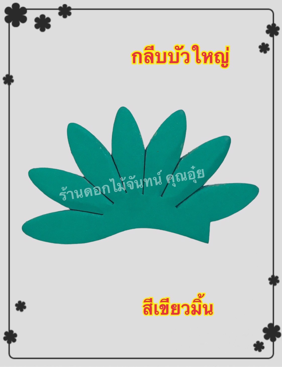กลีบบัวใหญ่ สีเขียวมิ้น