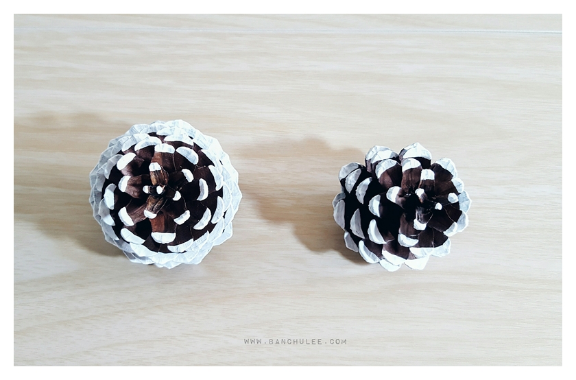 Snow Pine Cone ลูกสนธรรมชาติ สีน้ำตาลเข้ม แต้มขอบปีกด้วยสีขาว