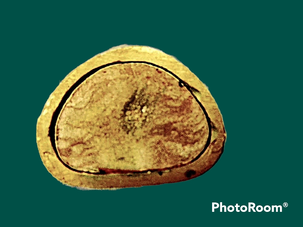 รูปหล่อหลวงพ่อทวด วัดช้างให้ รุ่นสร้างพระมหาธาตุเจดีย์พุทธธรรมประกาศ อ.เบตง จ.ยะลา ปี 2533