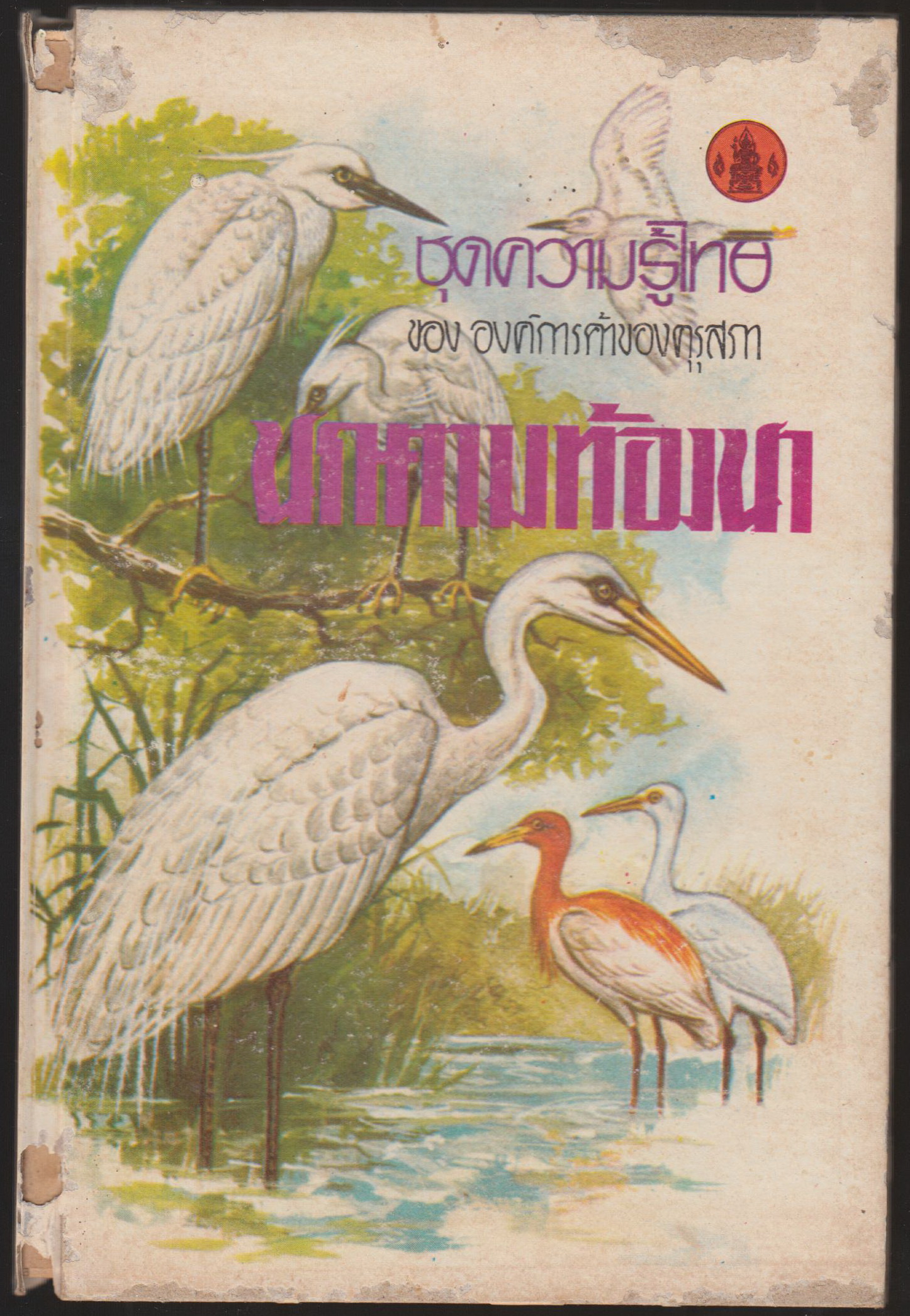 นกตามท้องนา