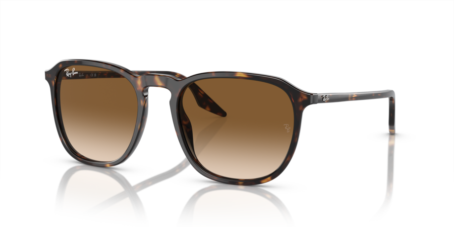 RayBan RB2203F 902/51