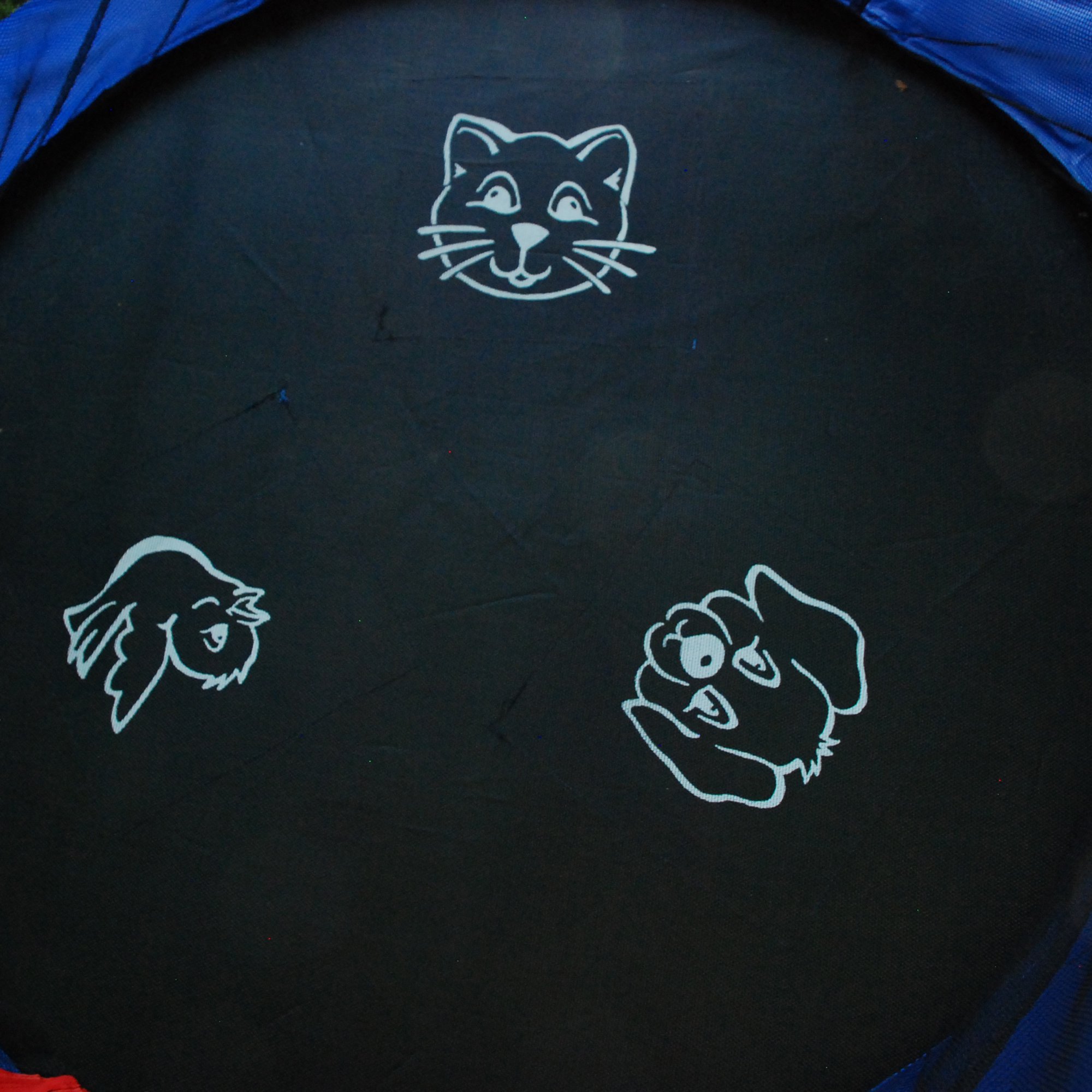 แทรมโพลีน Skywalker Trampolines 55-Inch Bounce-N-Learn Trampoline, with Enclosure and Sound, Blue ขนาด 55 นิ้ว ลายหมาแมวนก