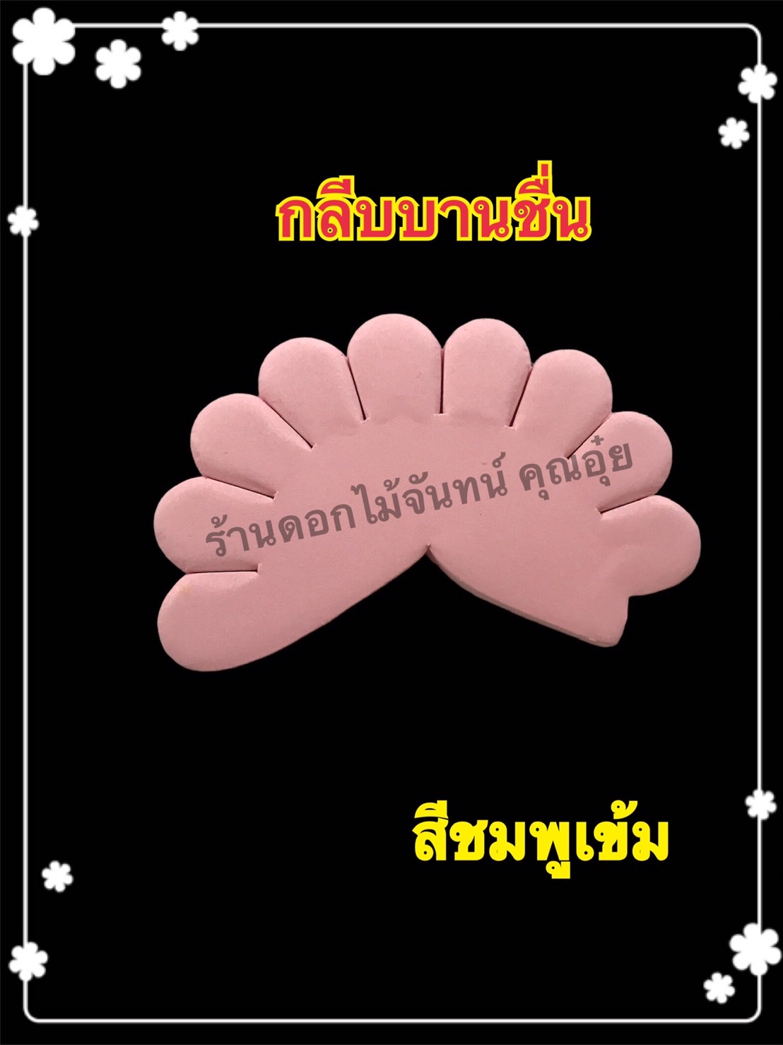 กลีบบานชื่น สีชมพูเข้ม