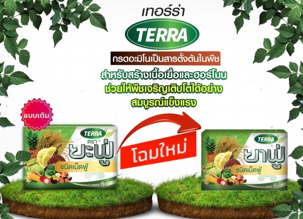 เทอร์ร่า ยาฟู่