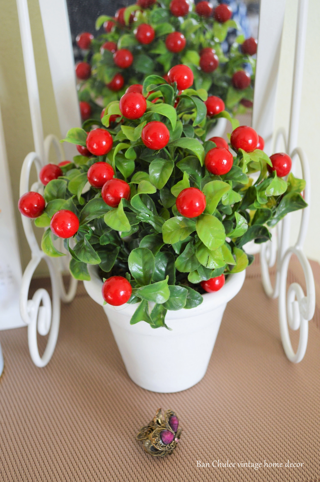 Red Berry In Flowerpot ต้นเบอร์รี่ในกระถาง