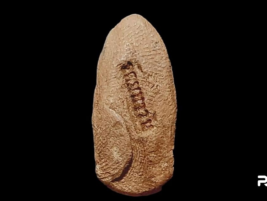 พระรอด ครูบาบุดดา วัดหนองบัวคำ จ.ลำพูน