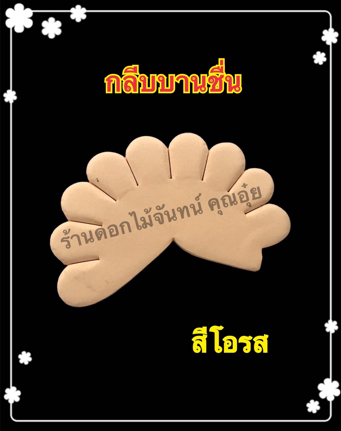 กลีบบานชื่น สีโอรส