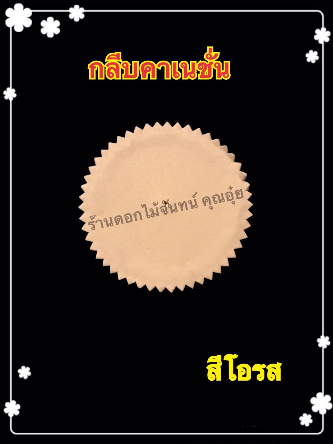 กลีบคาร์เนชั่น สีโอรส