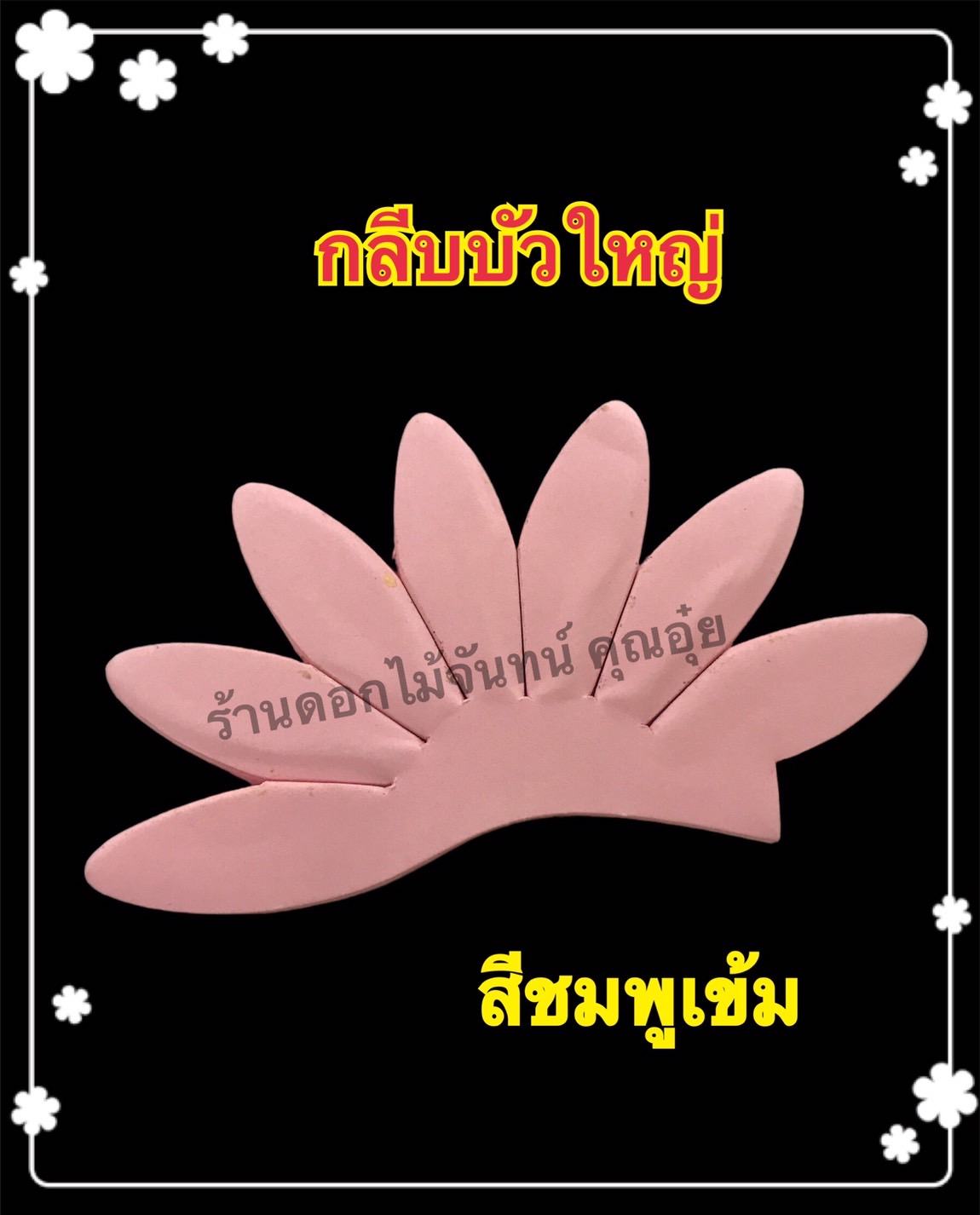 กลีบบัวใหญ่ สีชมพูเข้ม