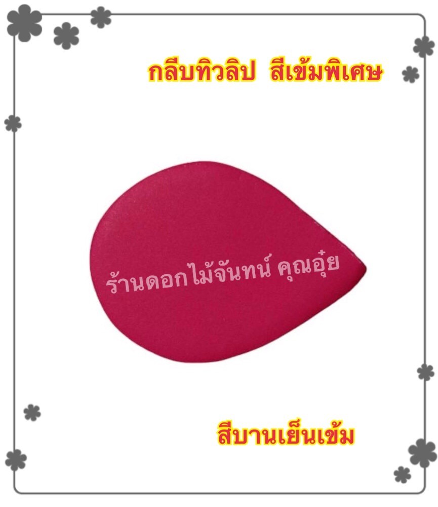 กลีบดอกทิวลิป สีบานเย็นเข้ม