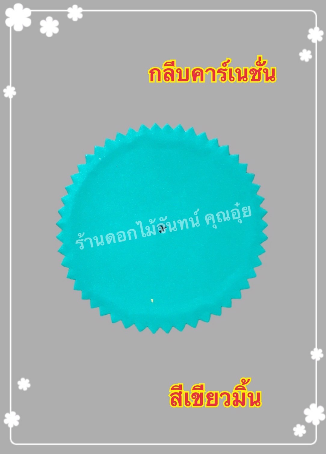 กลีบคาเนชั่น สีเขียวมิ้น