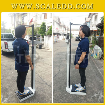 เครื่องชั่งน้ำหนักคน เครื่องชั่งน้ำหนักบุคคล พร้อมวัดส่วนสูง ชั่งได้ 200kg ความละเอียด 100g วัดส่วนสูงได้200cm EL-502