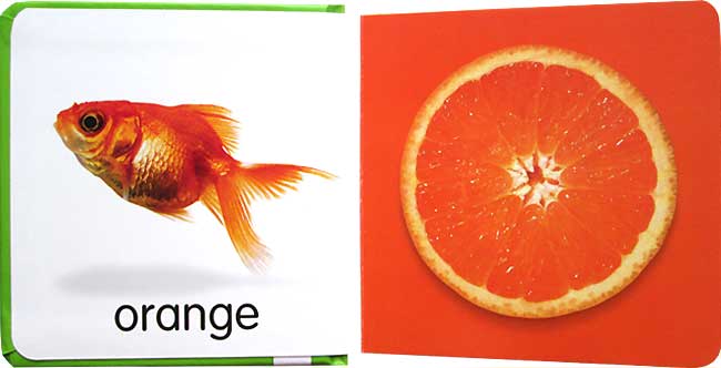 หนังสือภาพเรียนรู้เรื่องสี / Baby Boppers : baby's first colours (Hinkler)