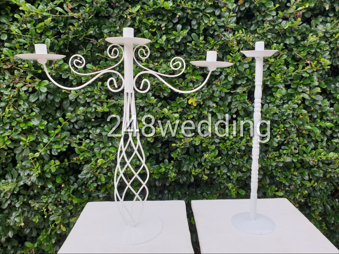 ขายเชิงเทียน (ขาเกลียว)