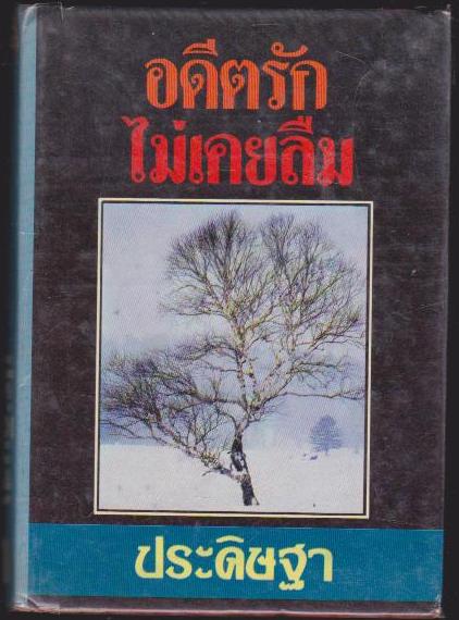อดีตรัก ไม่เคยลืม 2 เล่มจบ