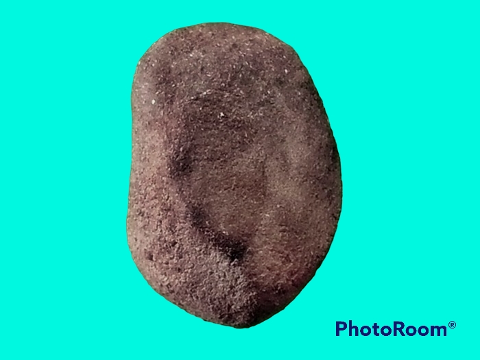 พระเม็ดบัว เจ้าคุณโพธิ์ วัดชัยพฤกษ์มาลา กรุงเทพมหานคร