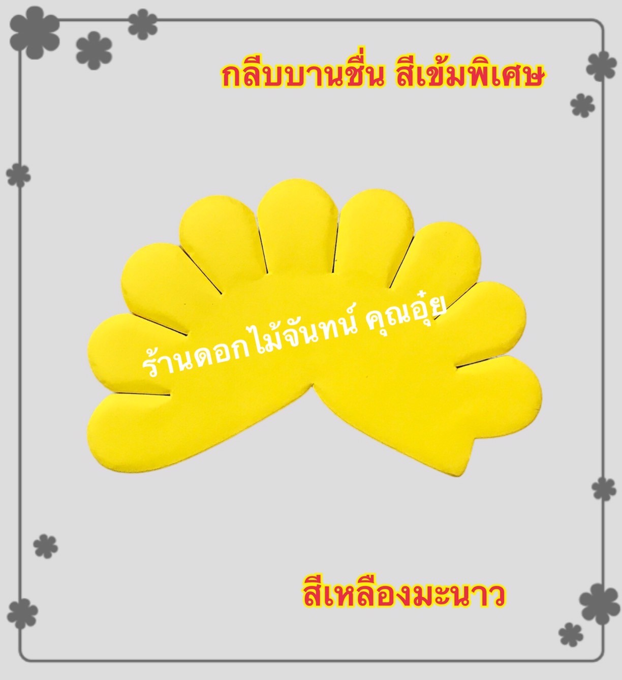 กลีบบานชื่น สีเหลืองมะนาว