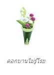 ดอกบานไม่รู้โรย