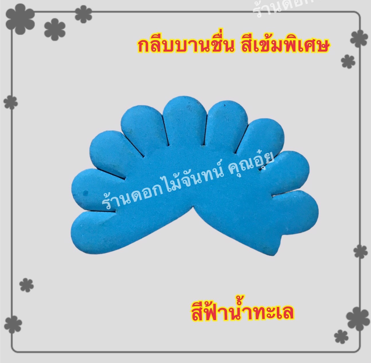 กลีบบานชื่น สีฟ้าน้ำทะเล