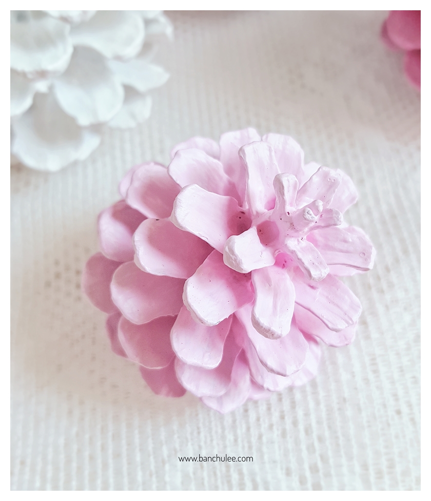 Painted Pine Cone ลูกสนธรรมชาติ ทาสีอะครีลิคสำหรับงานไม้
