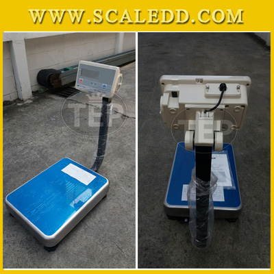 เครื่องชั่งน้ำหนักดิจิตอล พิกัด60กิโลกรัม ความละเอียด5g ยี่ห้อ AND รุ่น FG-60 แท่นชั่ง39*53cm (เครื่องชั่งผ่านตรวจรับรองจากสำนักชั่งตวงวัด)