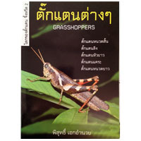 ตั๊กแตนต่างๆ