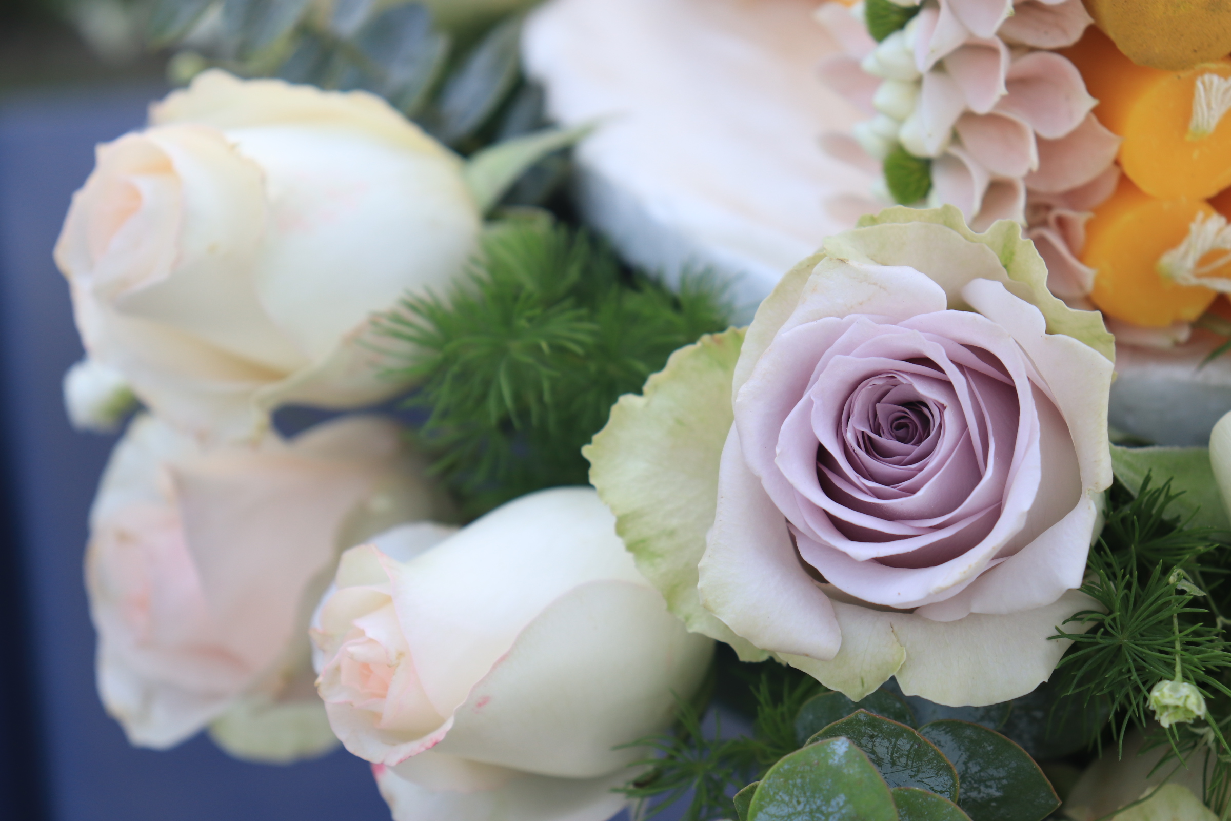 ขันหมากสไตล์โมเดิร์น 11พย.61