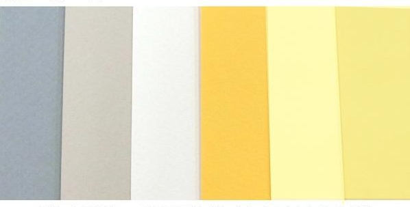 Rembrandt Soft Pastel Paper Pads 160g 30sht