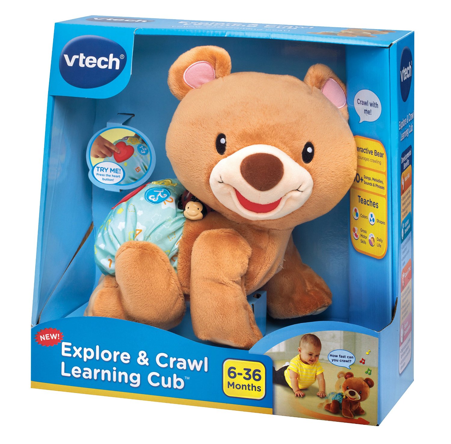 ตุ๊กตาหมีชวนคลาน VTech Explore and Crawl Learning Cub