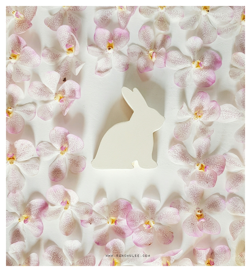 Wooden Bunny - Shredded Wheat