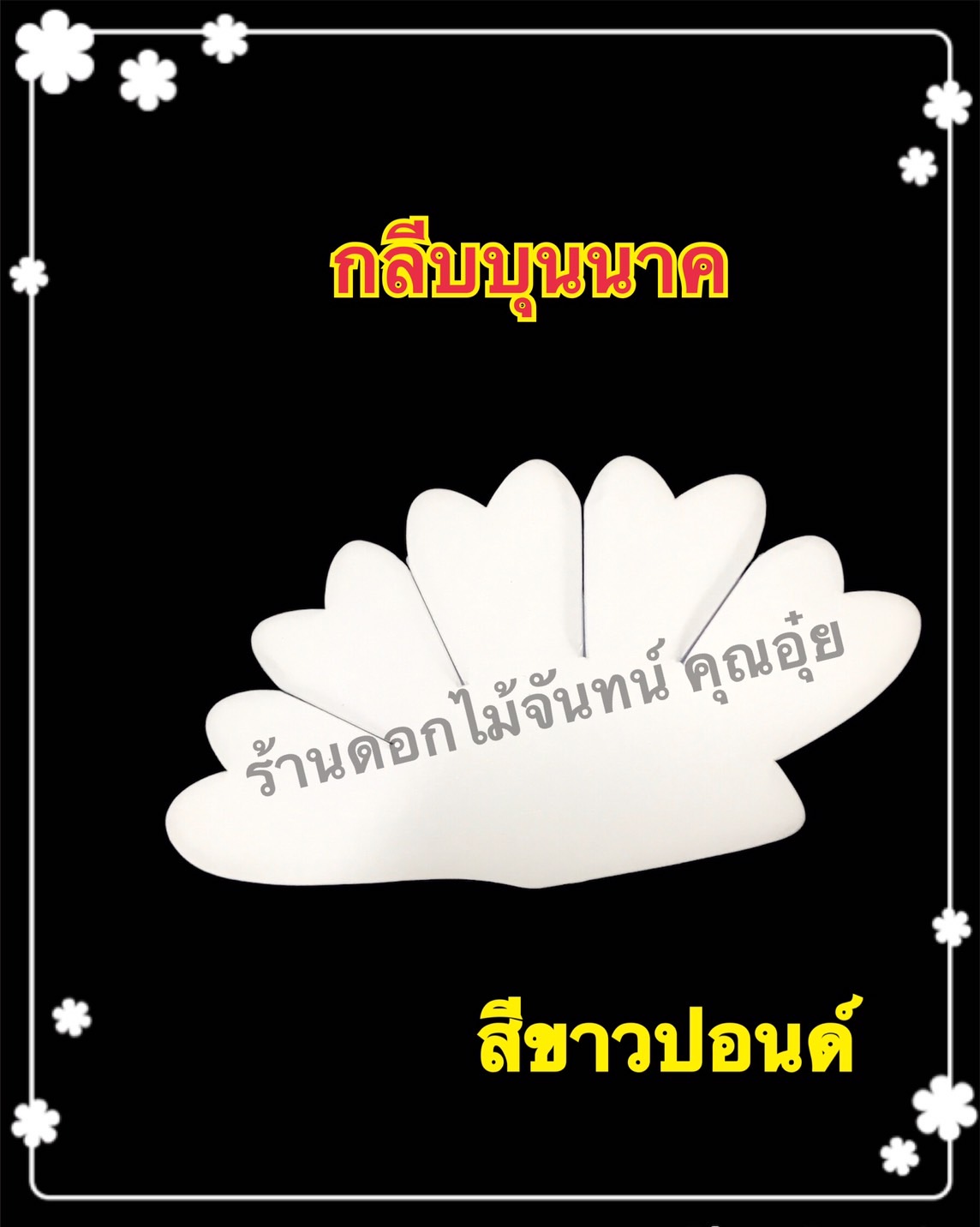 กลีบบุนนาค สีขาวปอนด์