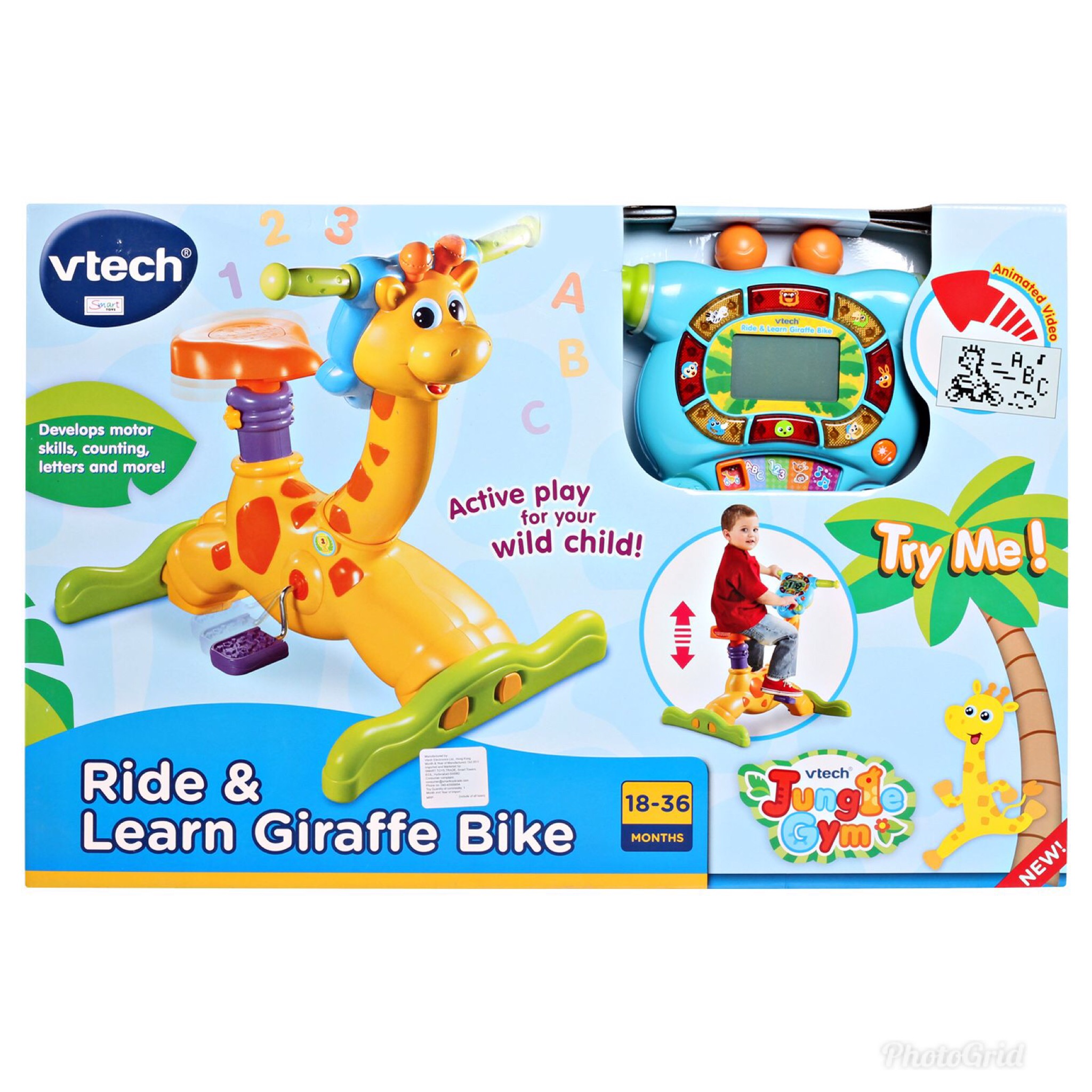 Vtech Ride and Learn Giraffe Bike