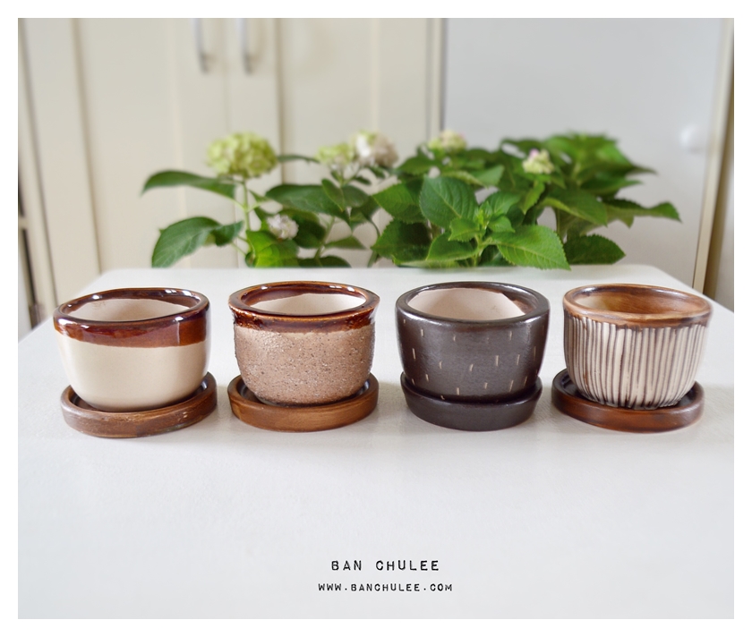 Rough Ceramic Flower Pots Set A กระถางเซรามิคเนื้อหยาบ เซตเอ