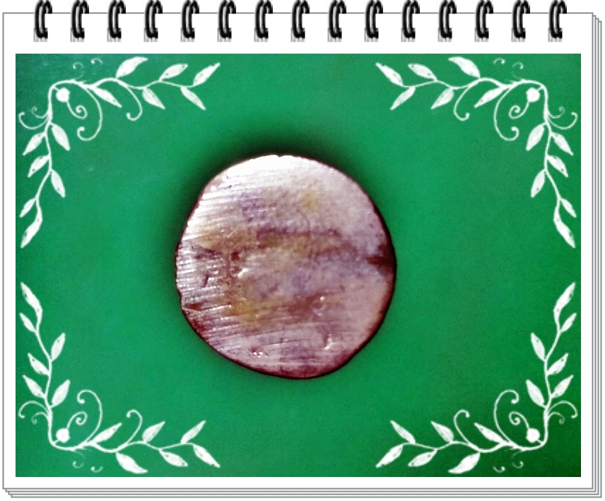 ชูชกเพิ่มพูนทรัพย์ หลวงพ่อสมพงษ์ วัดใหม่ปิ่นเกลียว จ.นครปฐม