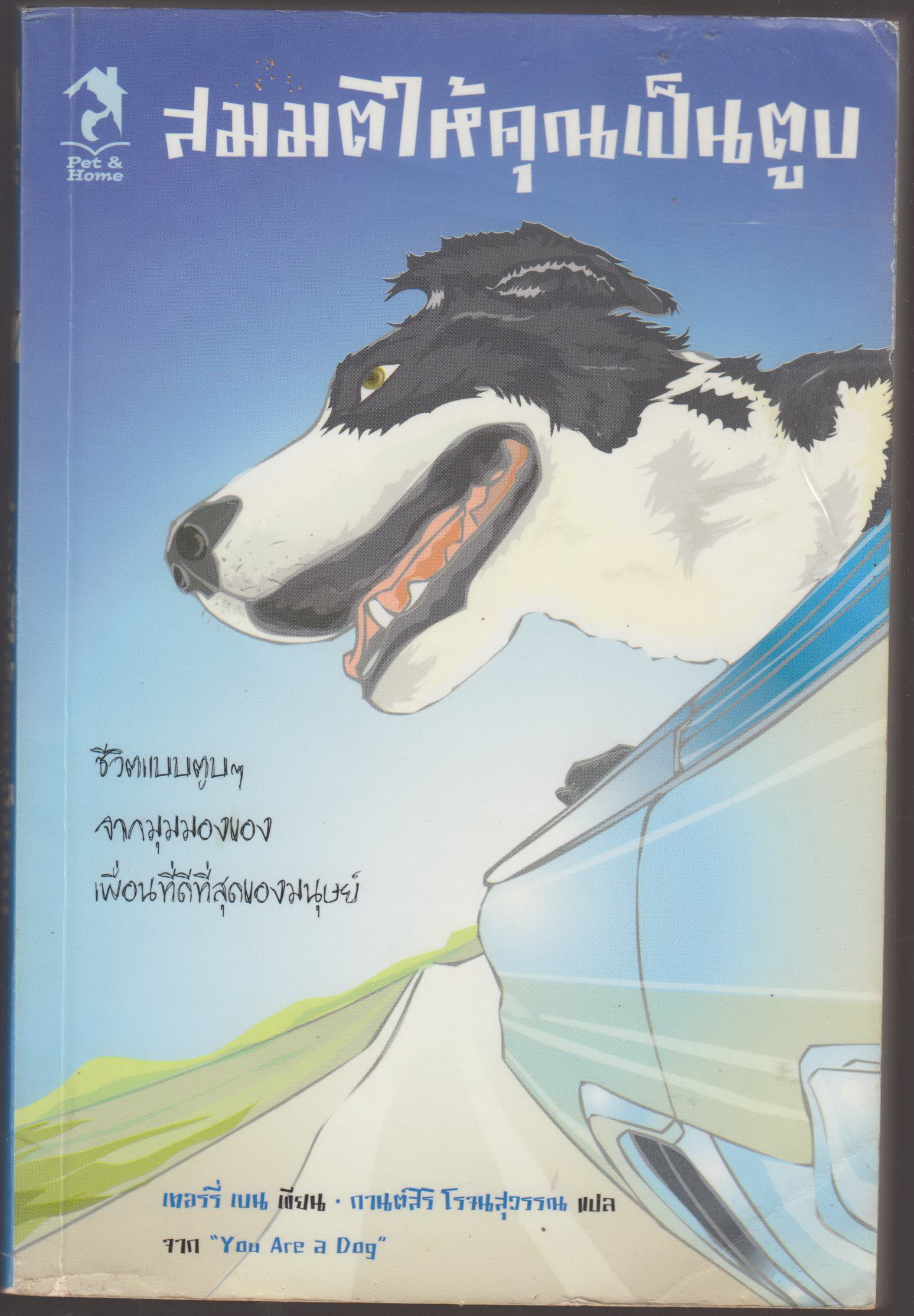สมมติให้คุณเป็นตูบ