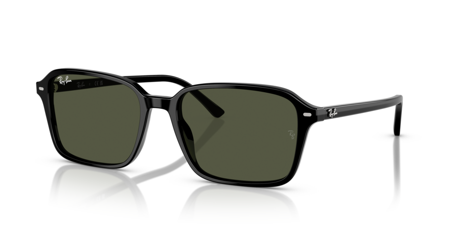 RayBan RB2231F 901/31 Raimond