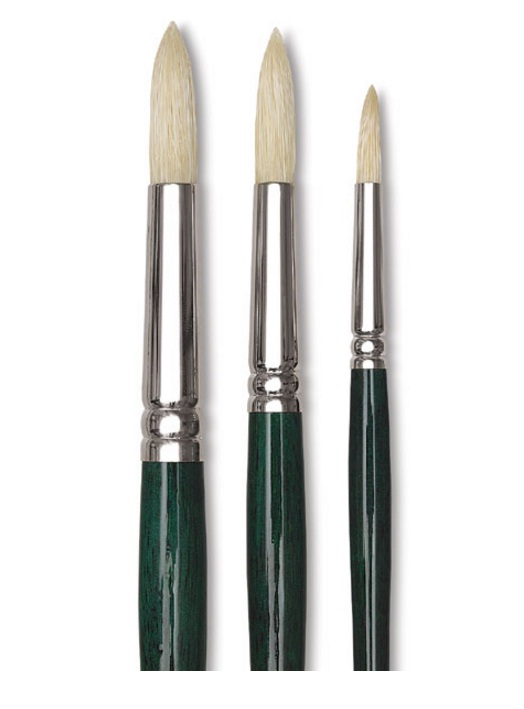 พู่กันสีน้ำมันขนหมู Winsor & Newton Winton กลม(Round)