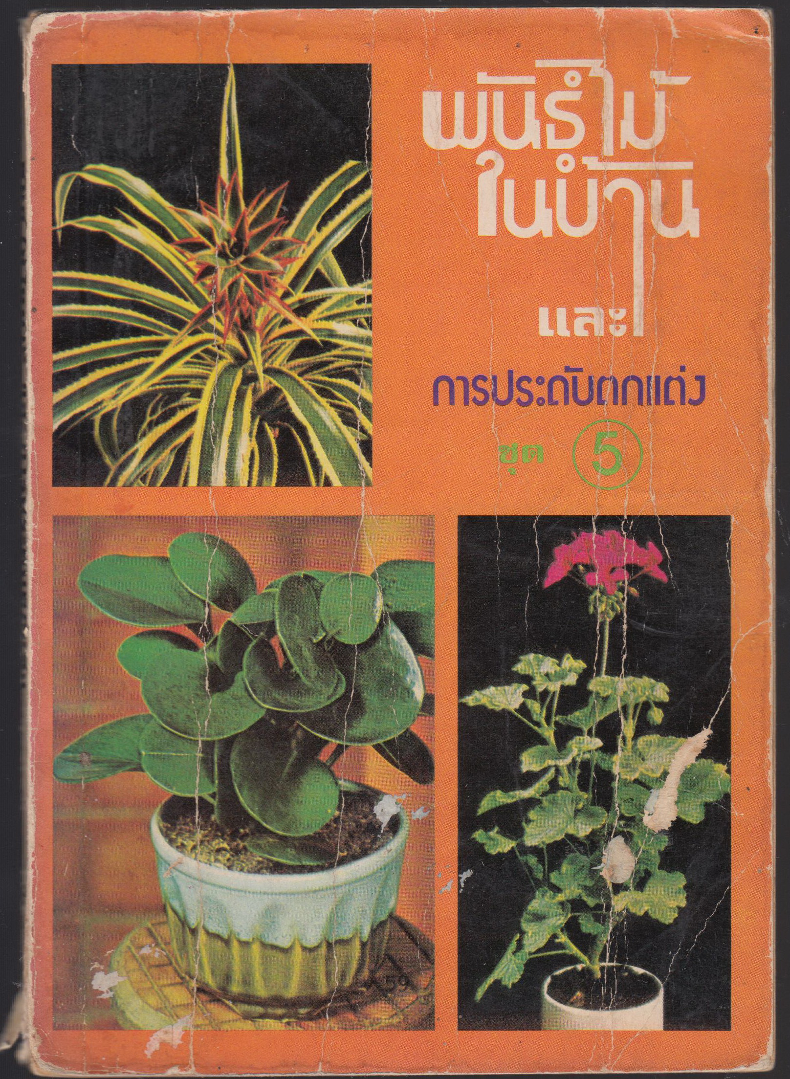 พันธุ์ไม้ในบ้าน และการประดับตกแต่ง ชุดที่ 5