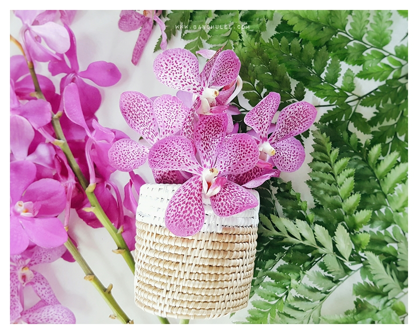 Small Wicker Basket ตะกร้าสาน ทรงกระบอก ขนาดเล็ก ทาสีขอบด้วยสีขาว