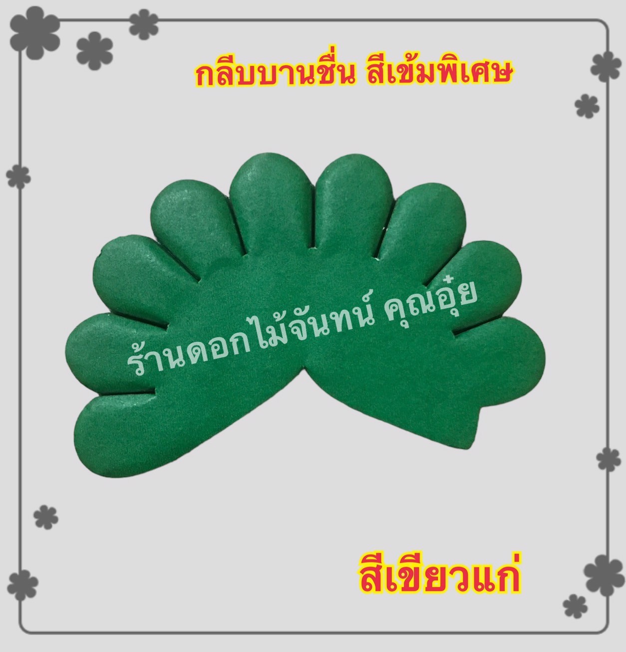กลีบบานชื่น สีเขียวแก่