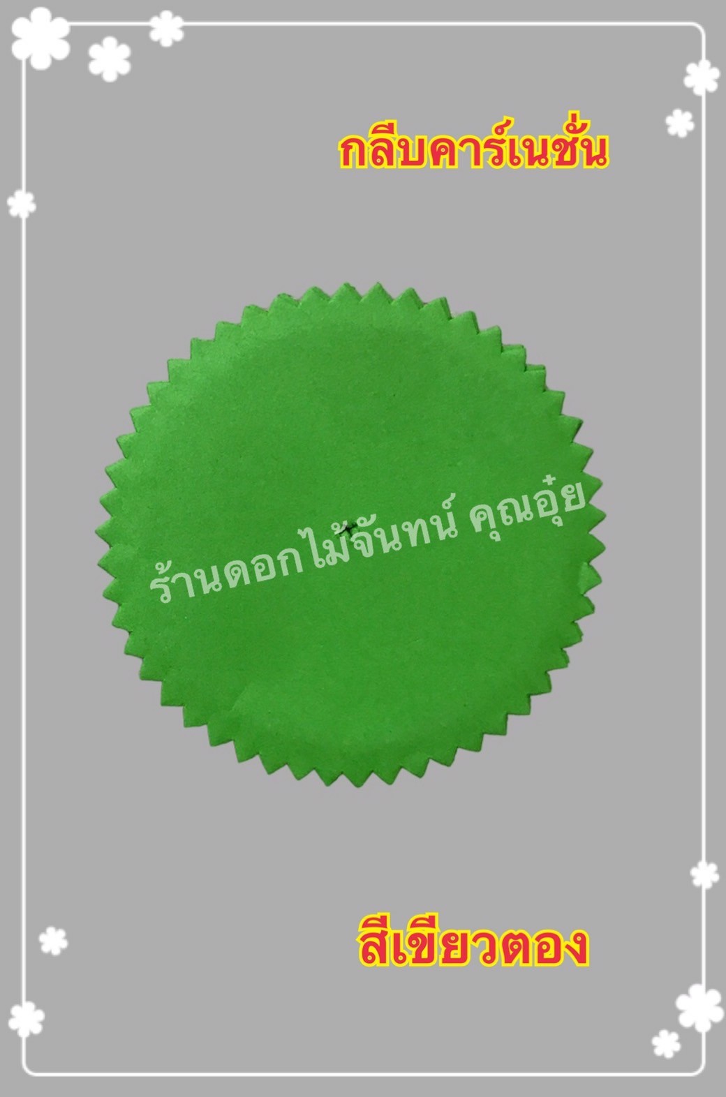 กลีบคาเนชั่น สีเขียวตอง