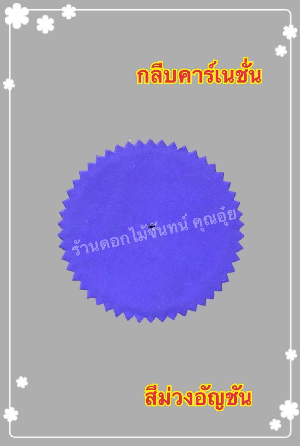 กลีบคาเนชั่น สีม่วงอัญชัน