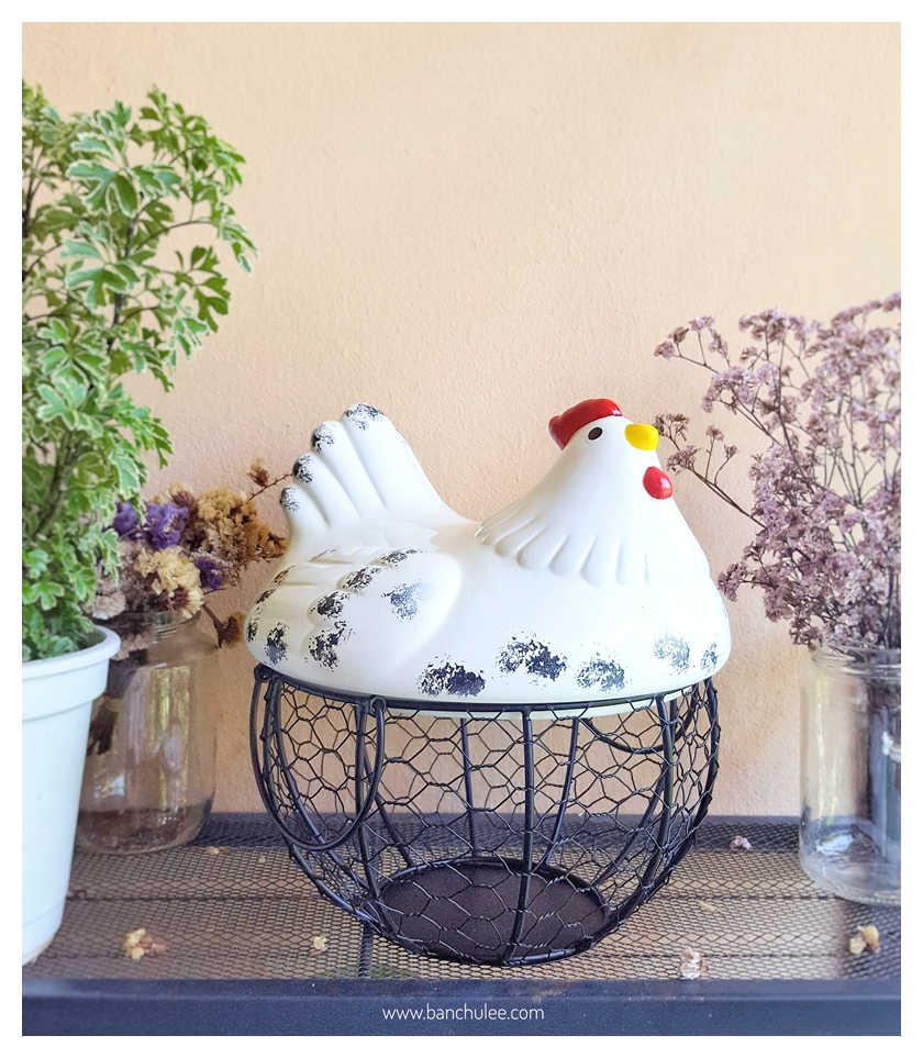 Egg Basket ตะกร้าใส่ไข่หรือผลไม้