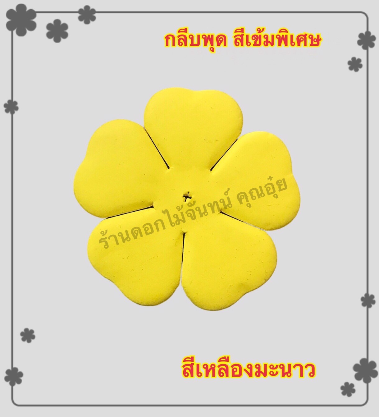 กลีบพุด สีเหลืองมะนาว