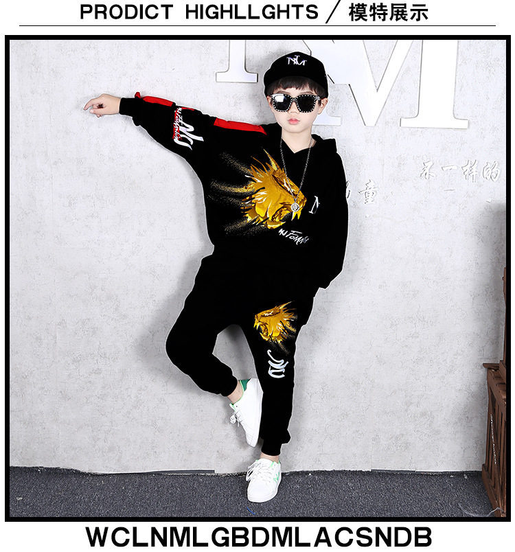 ชุดเต้น ชุดฮิปฮอปแขนยาว ลายสิงห์