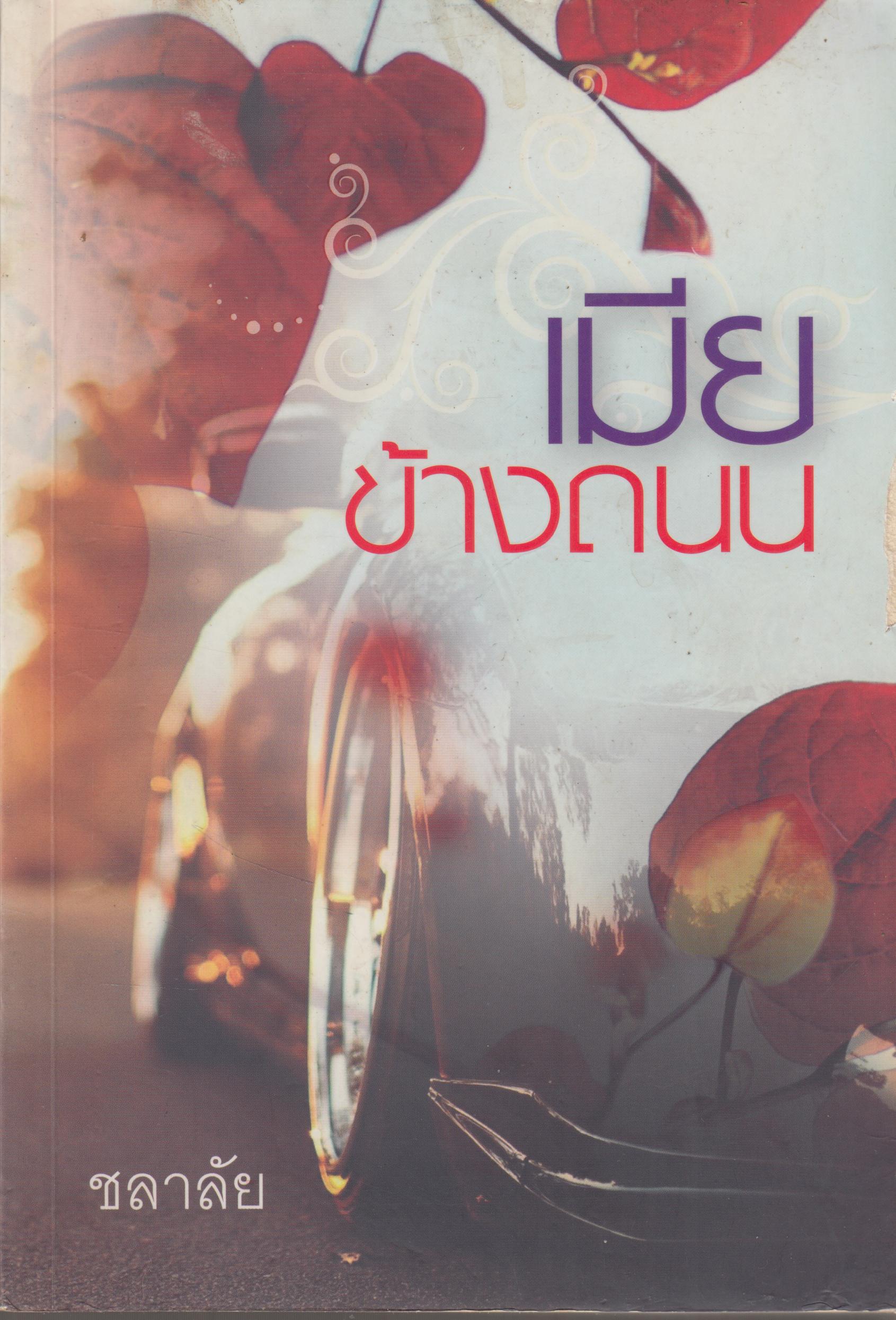 เมียข้างถนน เล่มเดียวจบ